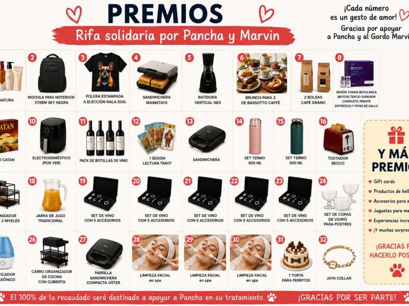 Conoce todos los premios